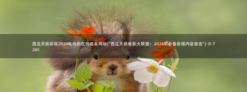 西瓜电影免费在线高清播放