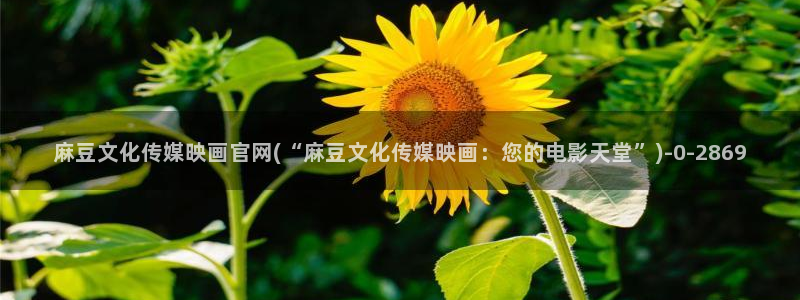 麻豆资源入口：麻豆文化传媒映画官网(“麻豆文化传媒映