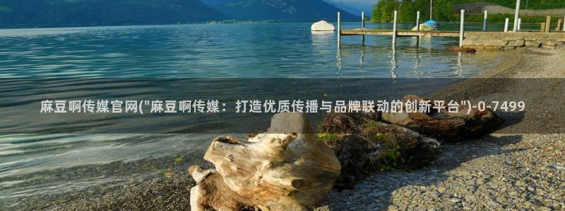 麻豆视频整理：麻豆啊传媒官网(\