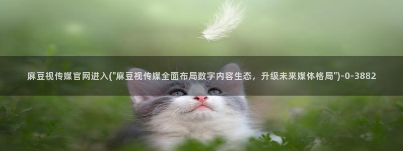 麻豆视频 专区在线看：麻豆视传媒官网进入(\