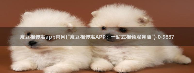 麻豆视频热门完整版：麻豆视传媒app官网(\