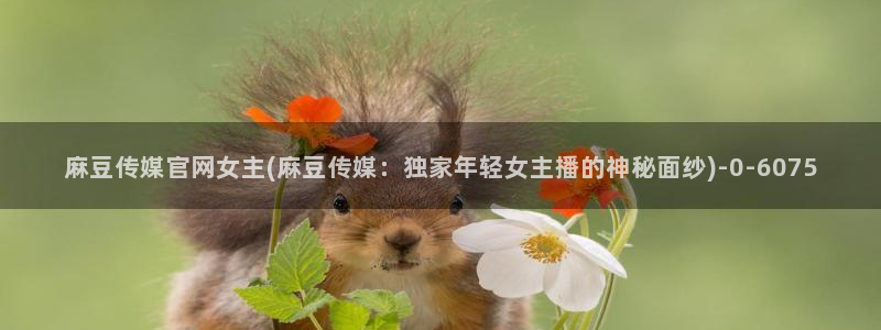 麻豆 高清推荐：麻豆传媒官网女主(麻豆传媒：独家年轻