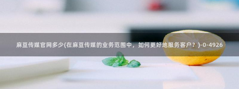 麻豆视频官方最新：麻豆传媒官网多少(在麻豆传媒的业务
