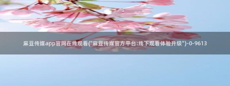 麻豆下载推荐
