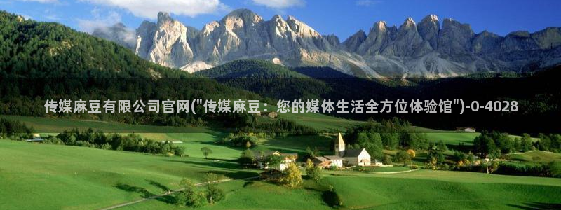 麻豆 高清页面：传媒麻豆有限公司官网(\