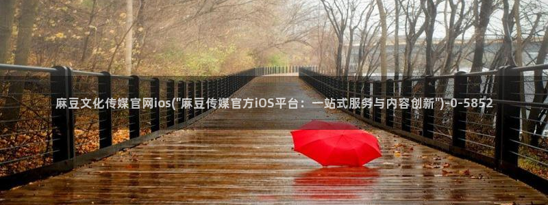 麻豆视频 入口专区：麻豆文化传媒官网ios(\
