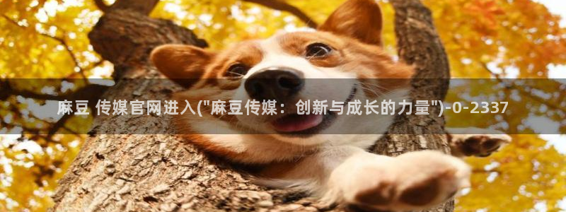 麻豆 资源导航：麻豆 传媒官网进入(\