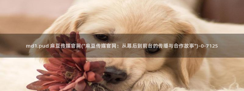 麻豆下载完整版