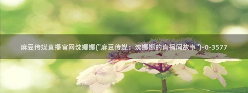 麻豆视频页面