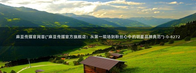 麻豆视频 高清更新