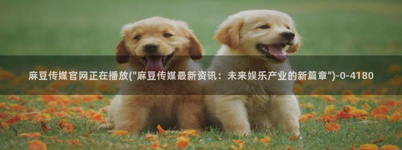 麻豆 在线看入口：麻豆传媒官网正在播放(\