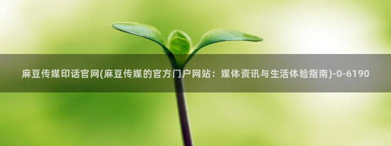 麻豆视频合集高清