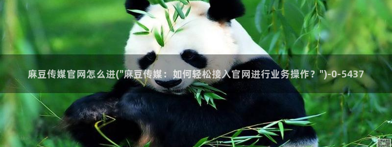 麻豆视频下载完整版