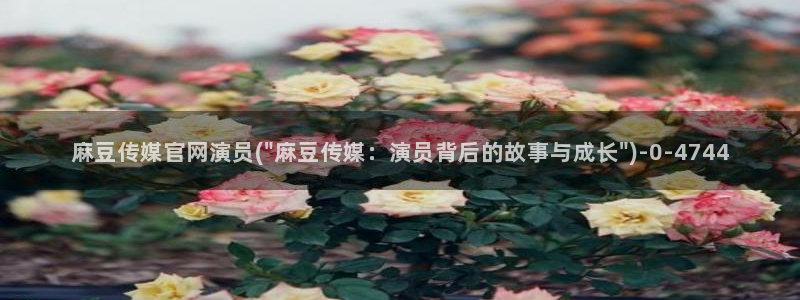麻豆视频 完整版资源：麻豆传媒官网演员(\