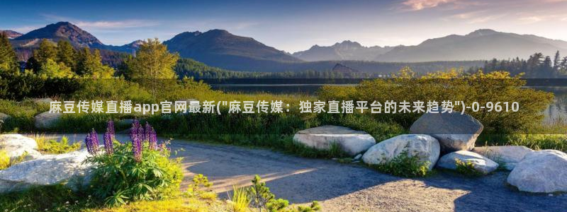 麻豆视频 站专区