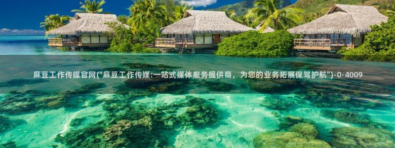 麻豆 资源在线看